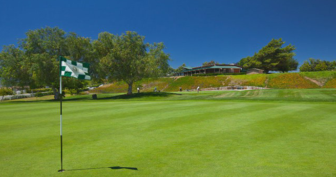 A golf course with a flag

Description automatically generated